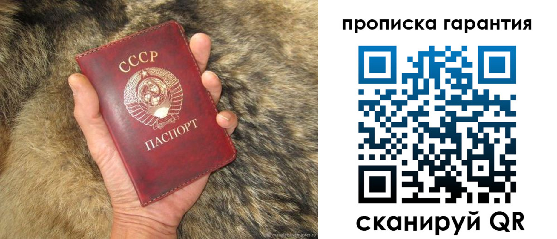прописка паспорт в Балтийске